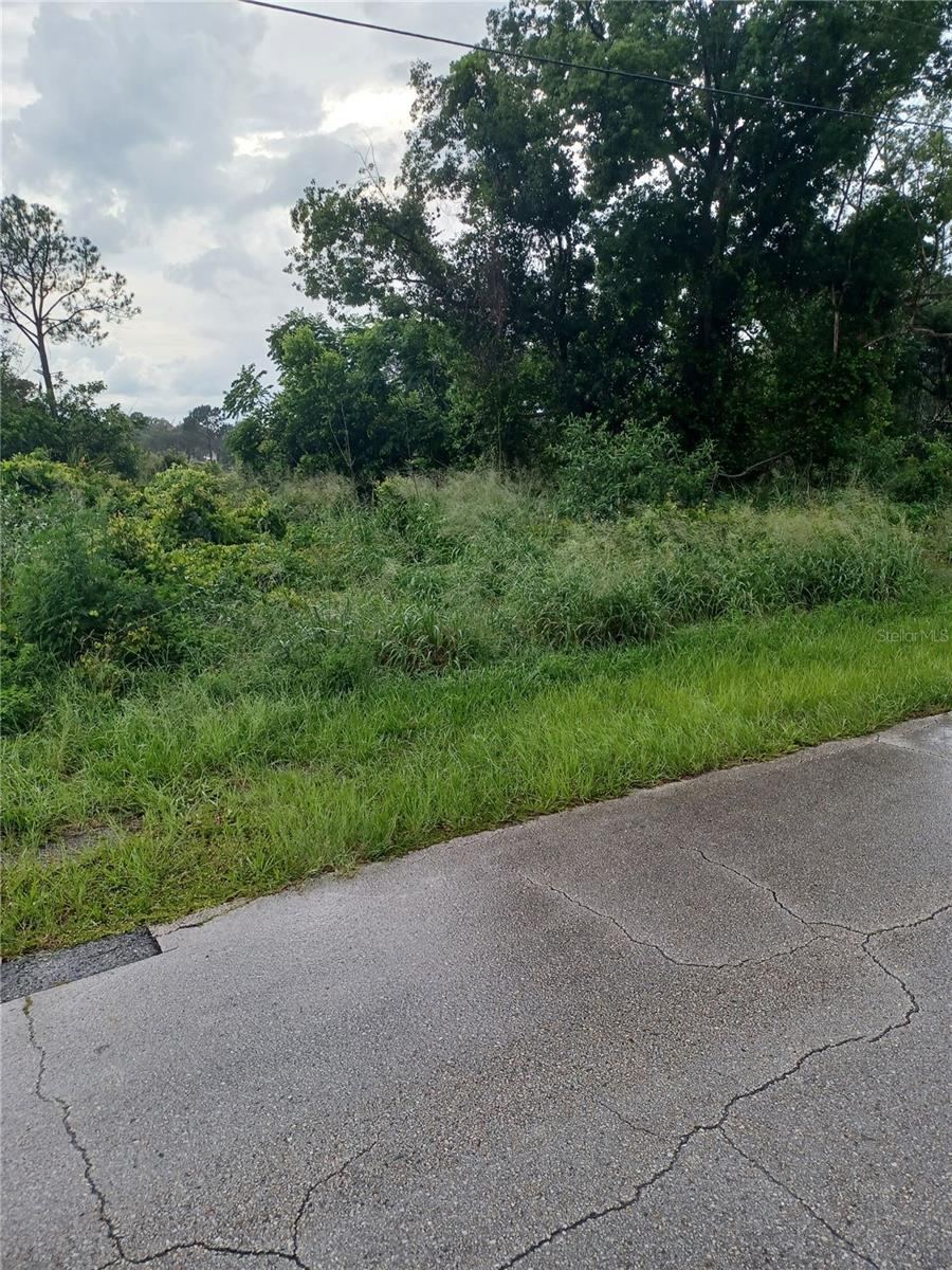 2664 Hoover Dr, Deltona, FL 32738