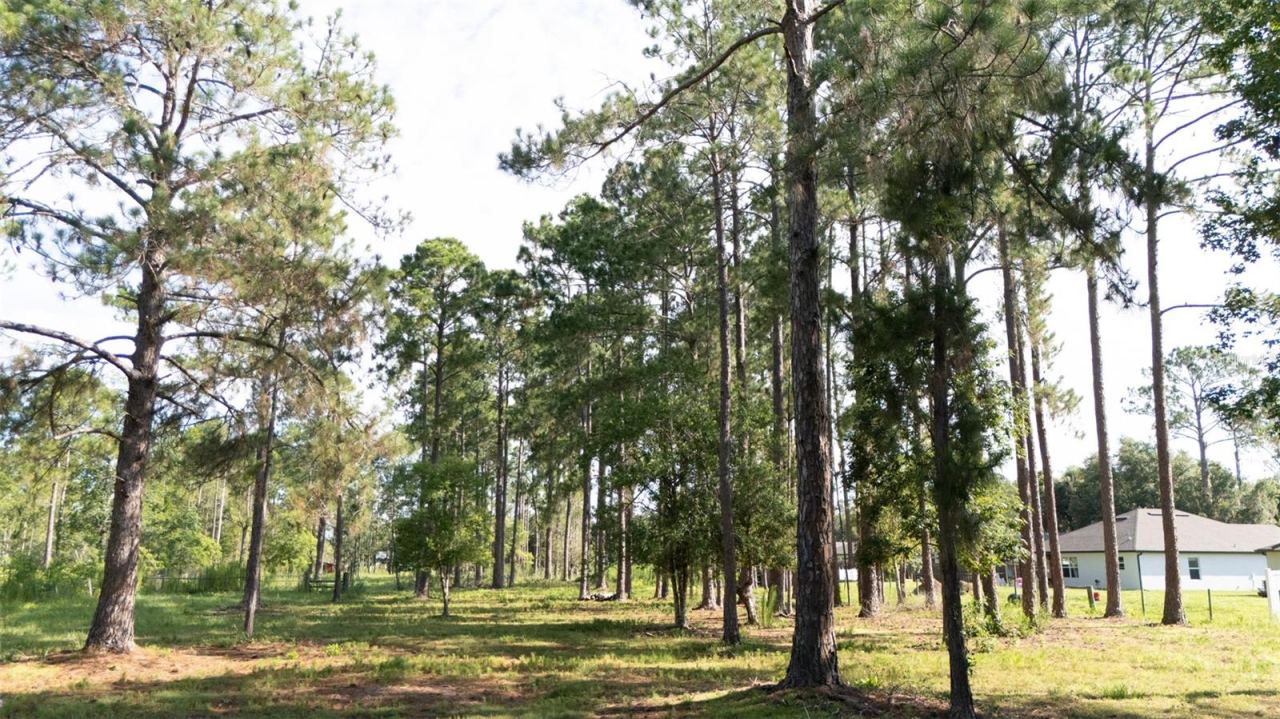 Photo 3 of No Street, Deland, FL 32720