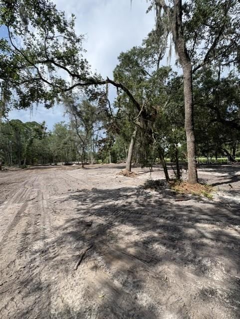 Photo 3 of County Road 309, Crescent City, FL 32112