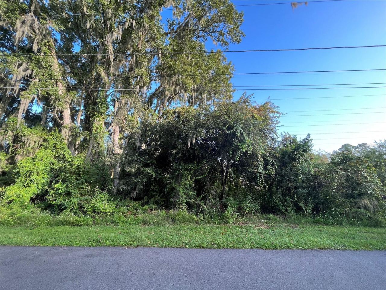 268 Toms Rd, Debary, FL 32713
