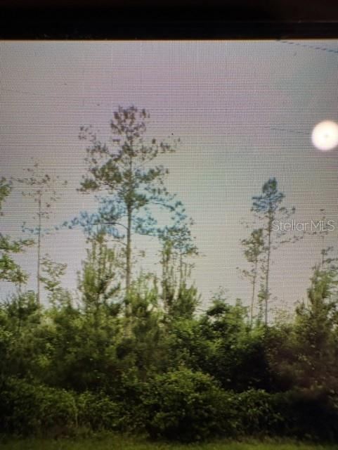 County Road 305, Bunnell, FL 32110