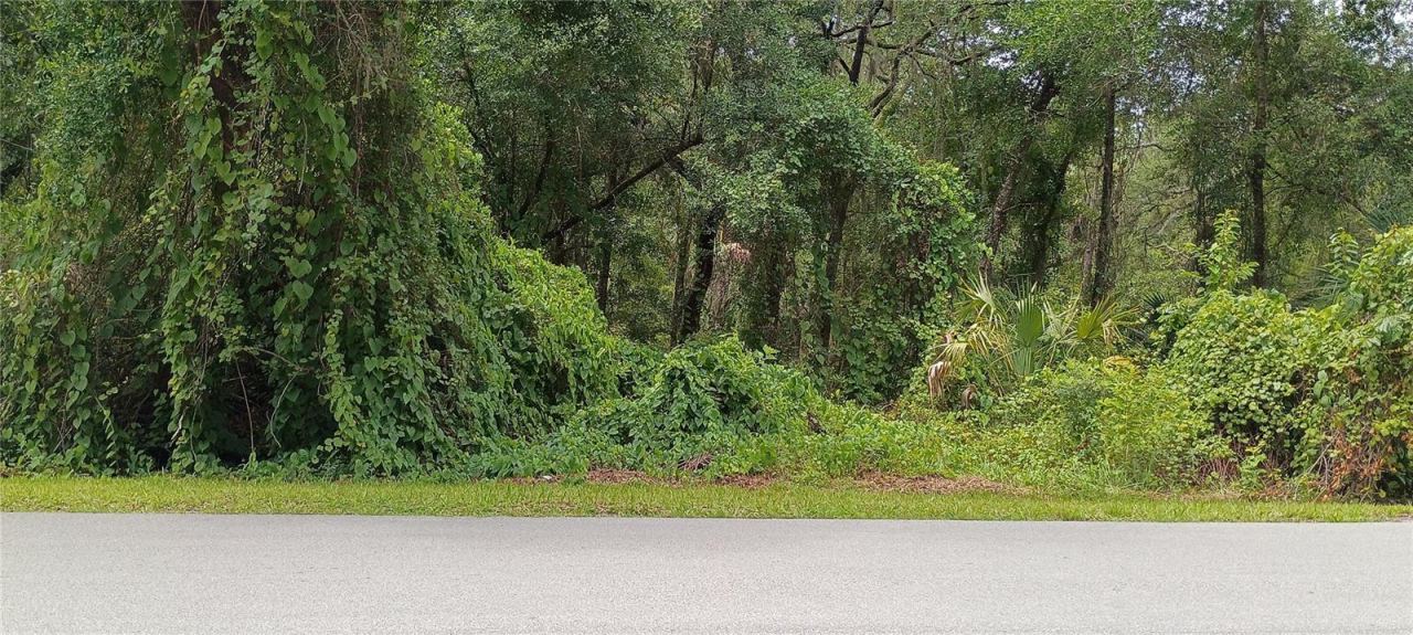 Photo 2 of 1876 Blackwelder Rd, De Leon Springs, FL 32130