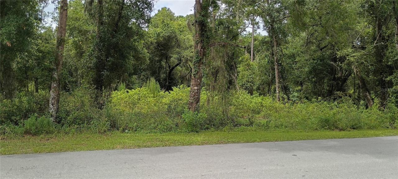 Photo 3 of 1876 Blackwelder Rd, De Leon Springs, FL 32130