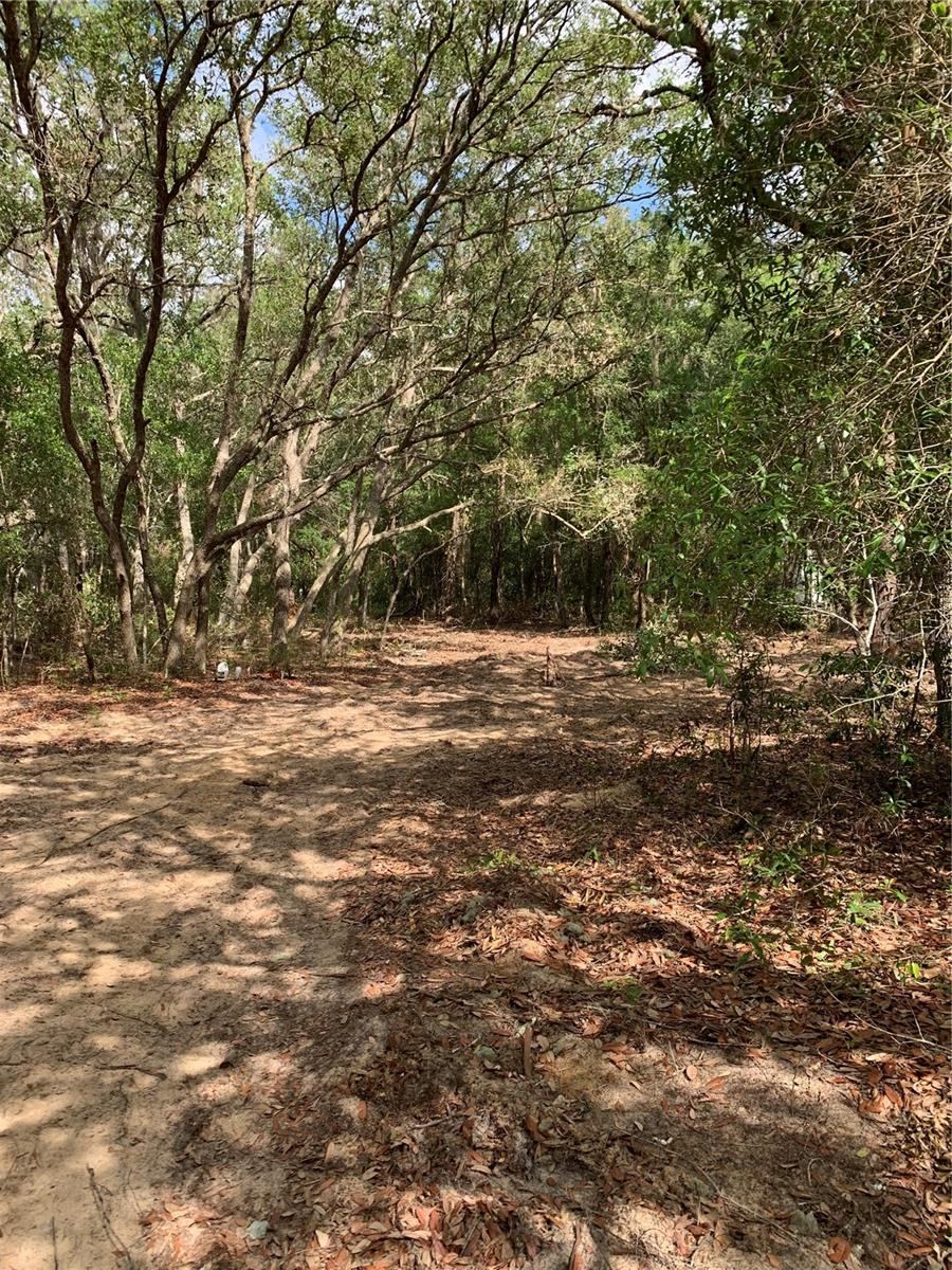 Photo 3 of 132 Sw 52nd Ave, Interlachen, FL 32148