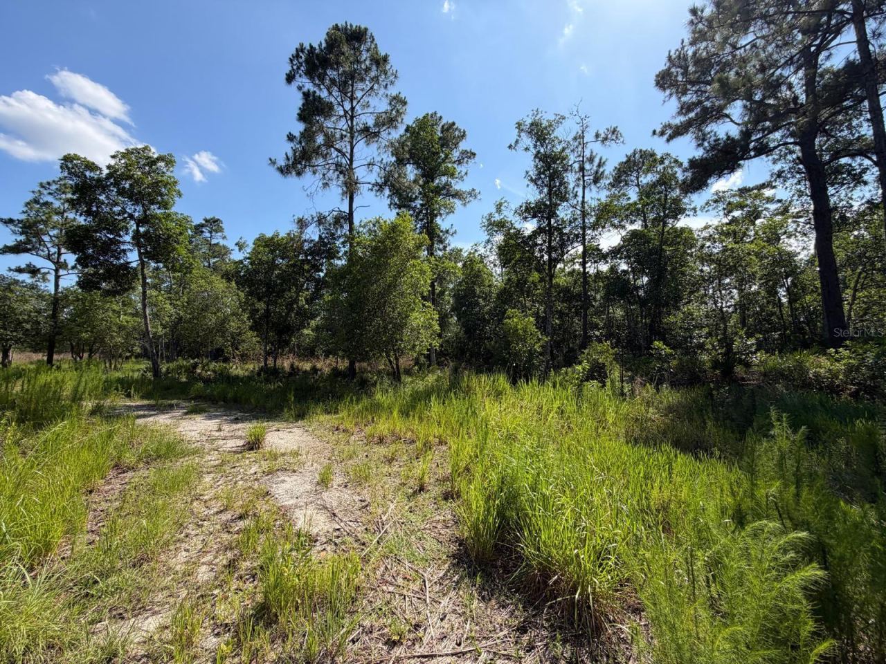 1842 Sweetwater Bnd, Deltona, FL 32738
