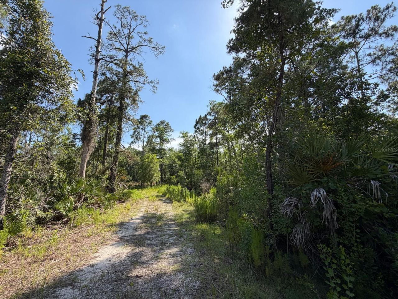 Photo 3 of 1842 Sweetwater Bnd, Deltona, FL 32738