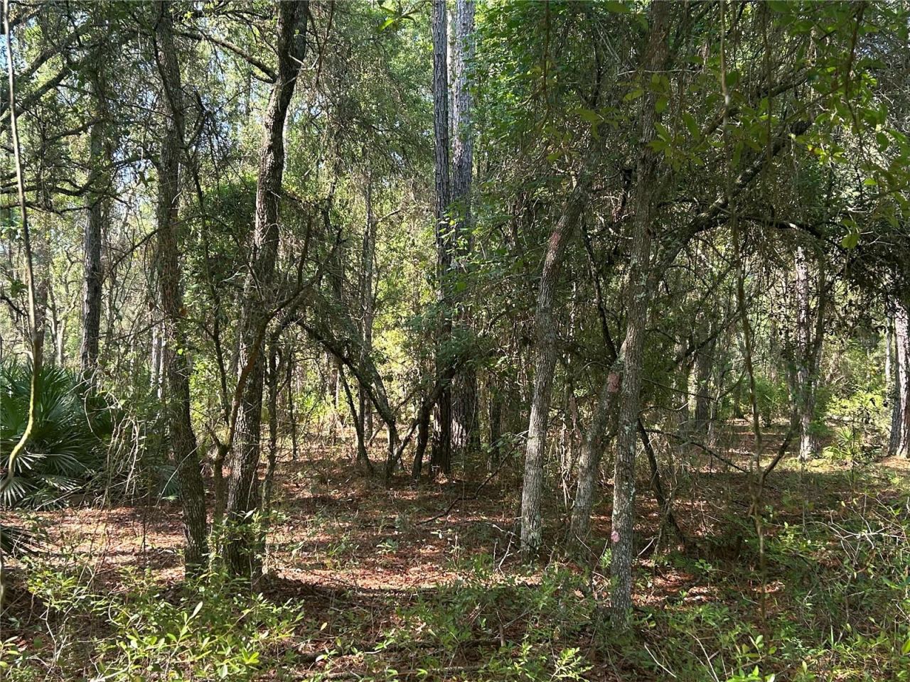 Photo 2 of 709 Georgetown Denver Rd, Crescent City, FL 32112