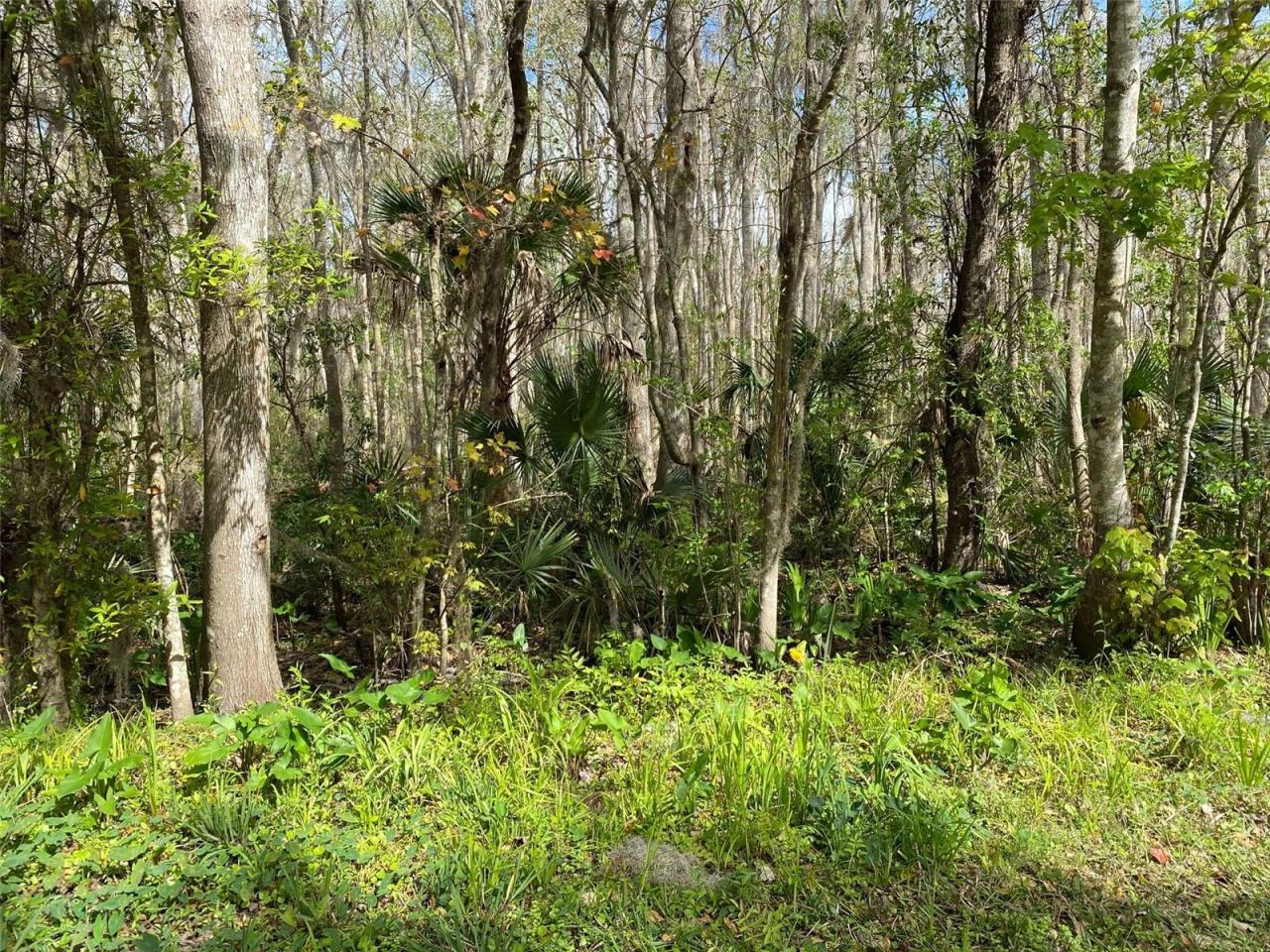 Photo 3 of 709 Georgetown Denver Rd, Crescent City, FL 32112