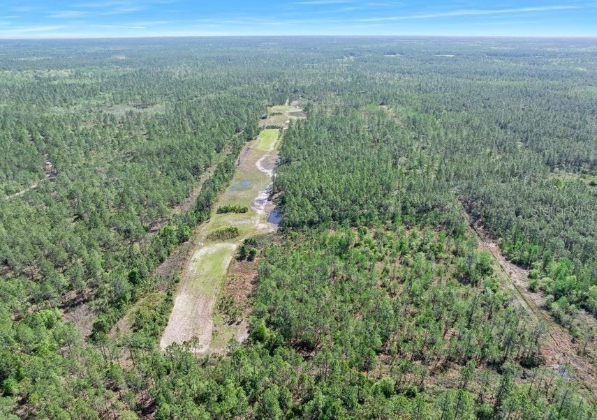 Photo 3 of 0 Carter St, Bunnell, FL 32110