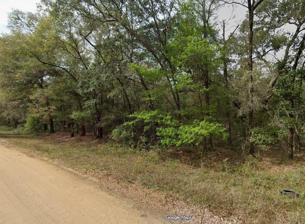 Lot 7, Unit 7, Blk 42 Buckles Ave, Interlachen, FL 32148