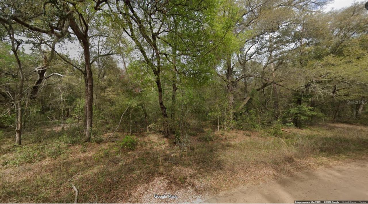 Lot 8, Unit 7, Blk 42 Buckles Ave, Interlachen, FL 32148
