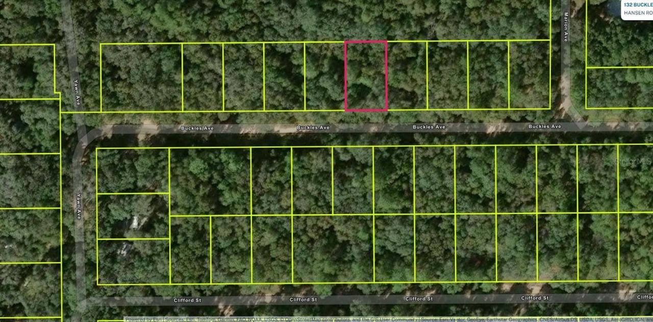 Photo 3 of Lot 8, Unit 7, Blk 42 Buckles Ave, Interlachen, FL 32148