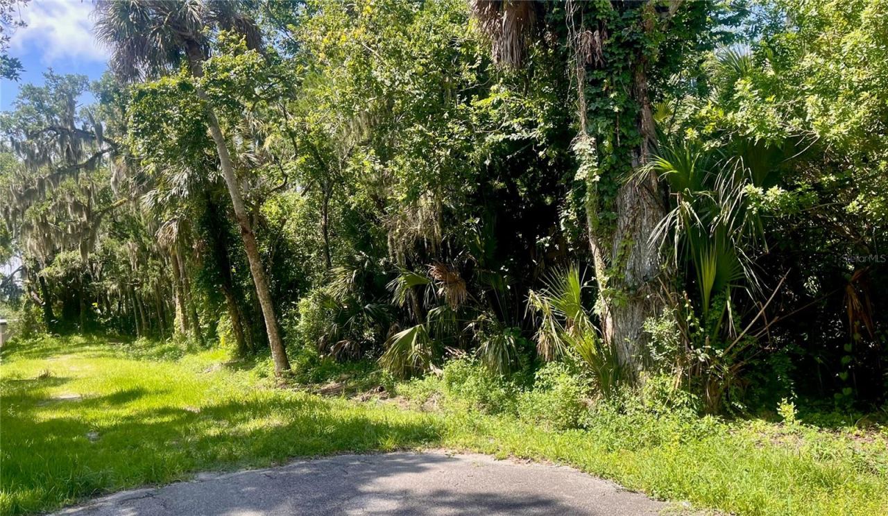 Photo 3 of 420-428 Palmetto St, Edgewater, FL 32132