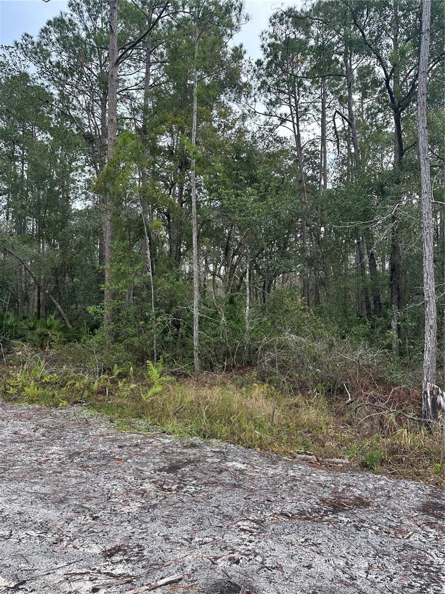 Photo 2 of 2301 10th Ave, Deland, FL 32724