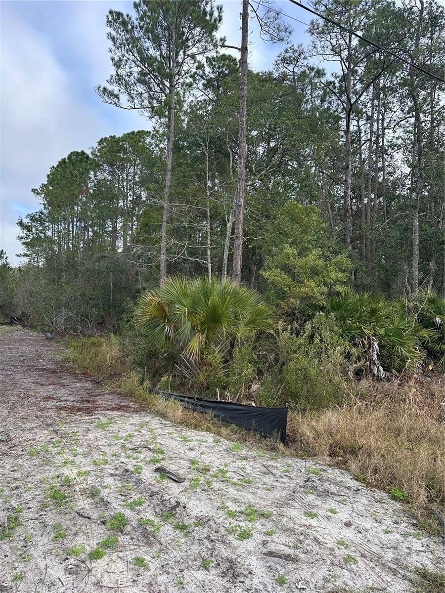 Photo 3 of 2301 10th Ave, Deland, FL 32724