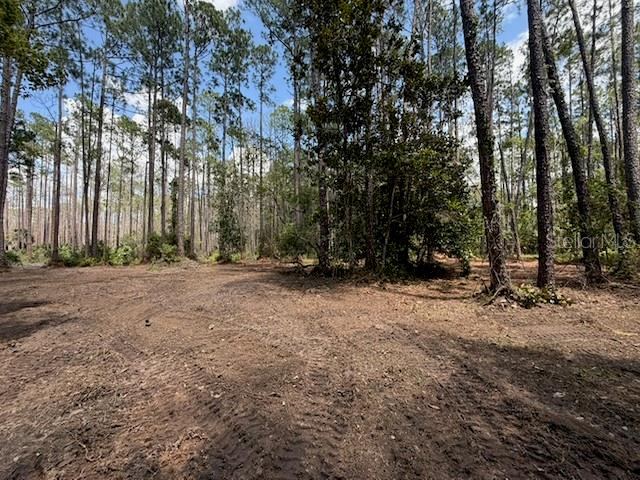 Photo 2 of 9th Ave, Deland, FL 32724