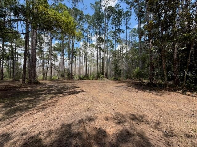 9th Ave, Deland, FL 32724