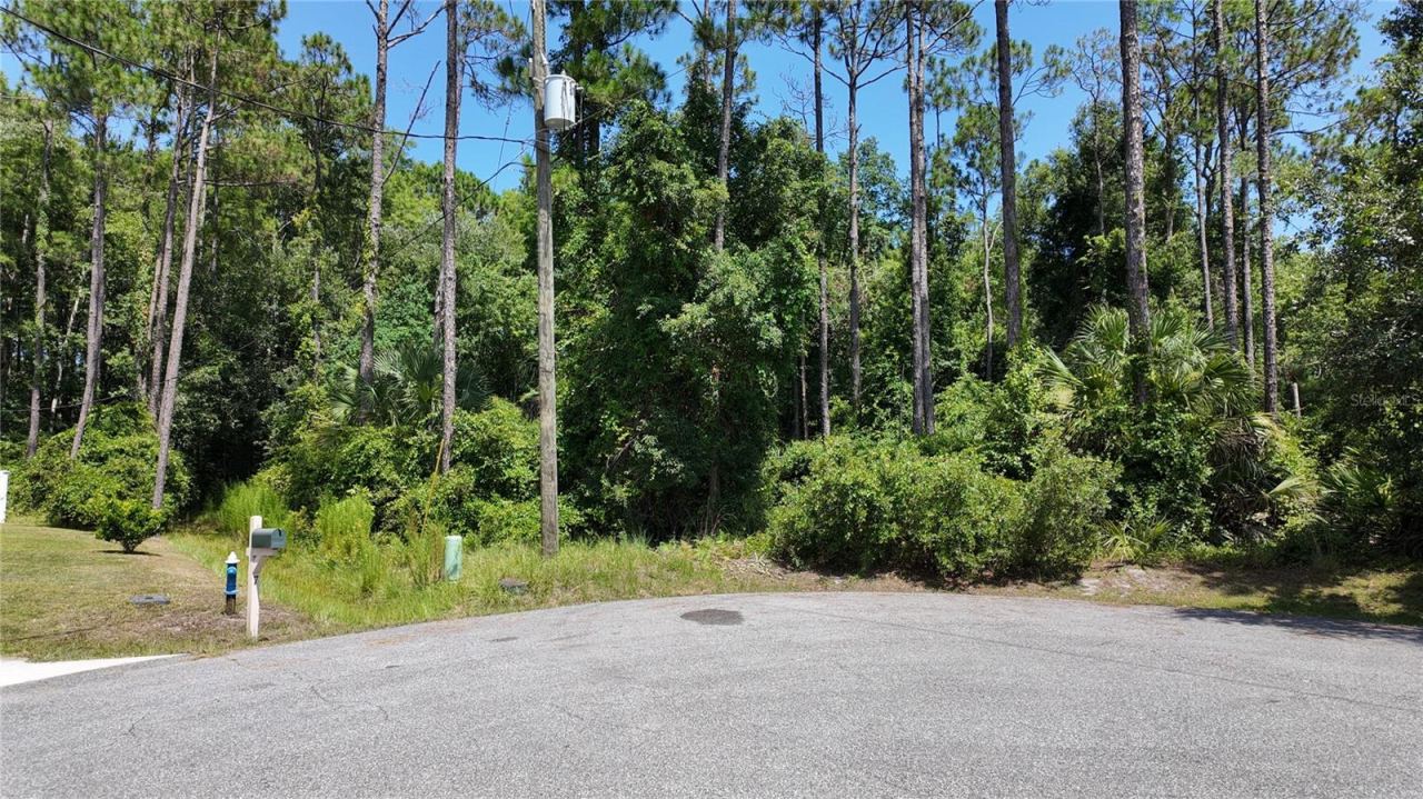 8 Zaftig Ct, Palm Coast, FL 32164