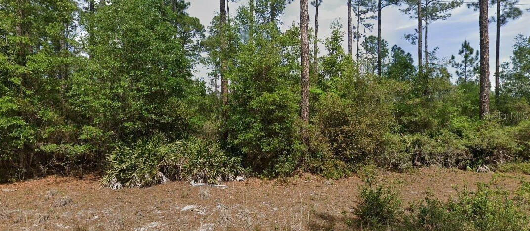 Photo 2 of 148 Arden St, Georgetown, FL 32139