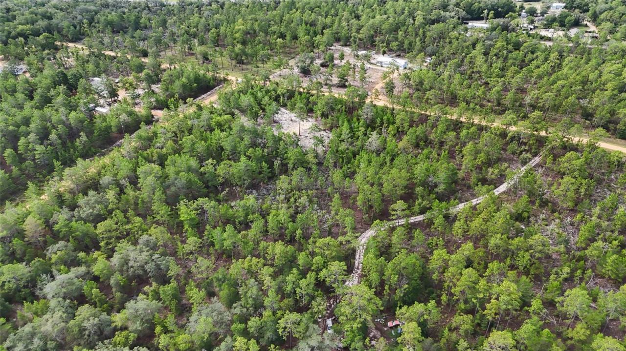 Photo 3 of 00 Unassigned Location, Hawthorne, FL 32640