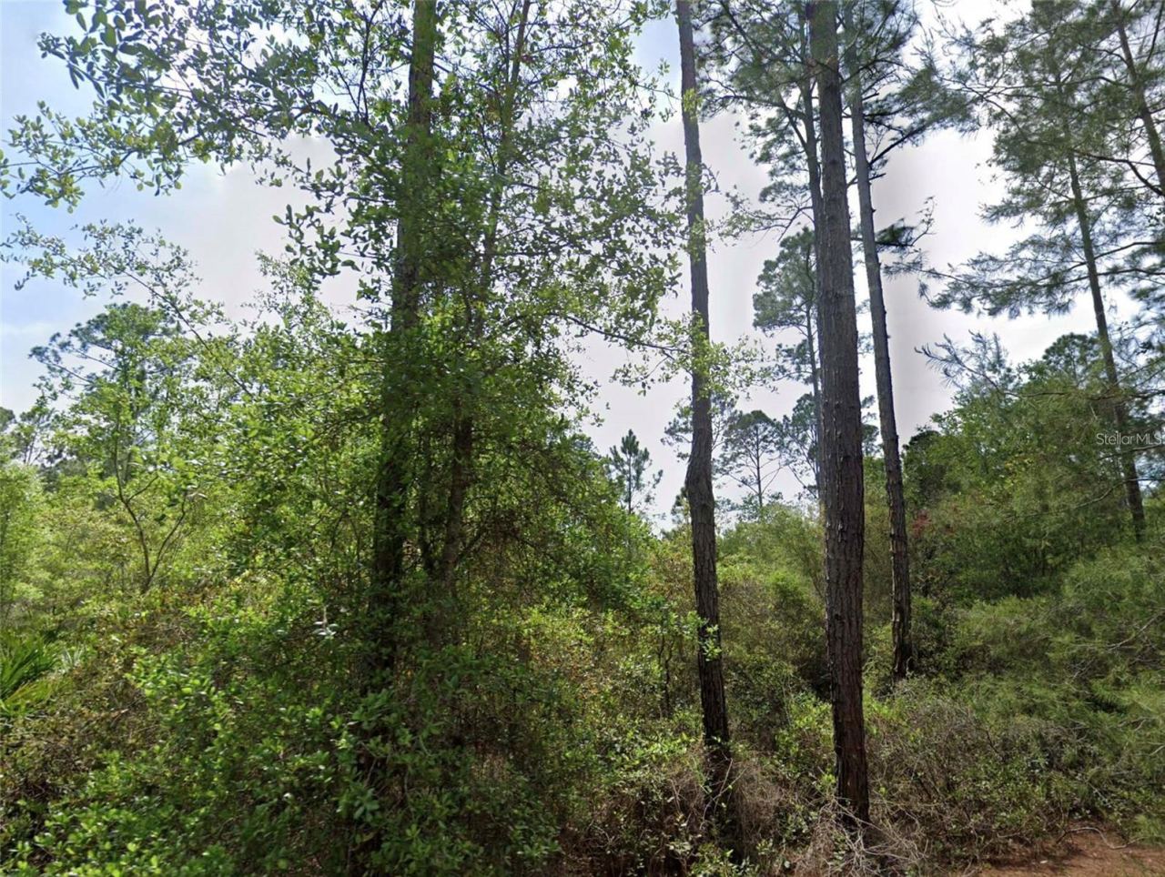 126 And 128 Grandale St, Georgetown, FL 32139