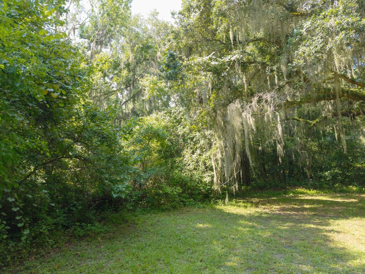 Photo 5 of 102 Cedar Creek Rd, Palatka, FL 32177