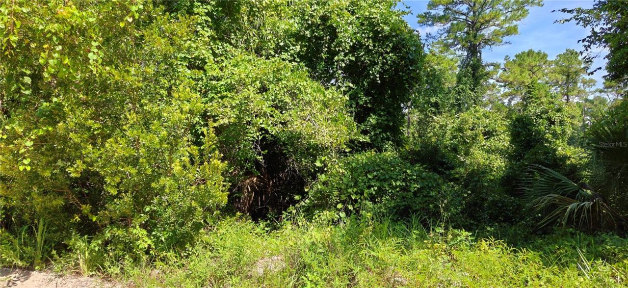 212 N 2nd Ave, Satsuma, FL 32189