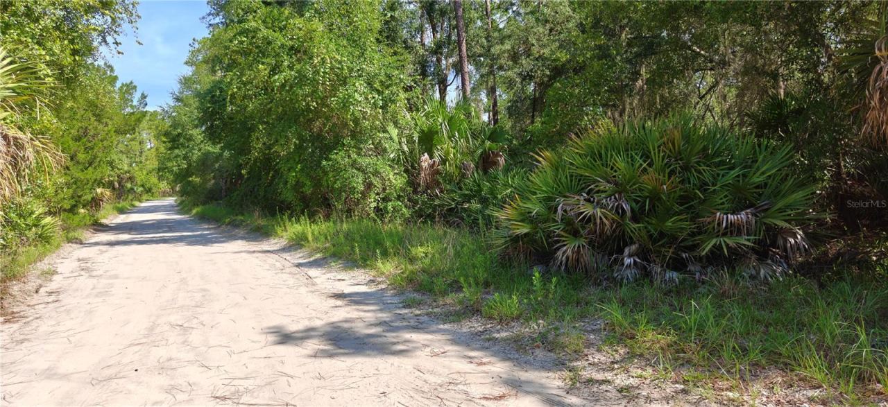 Photo 2 of 212 N 2nd Ave, Satsuma, FL 32189