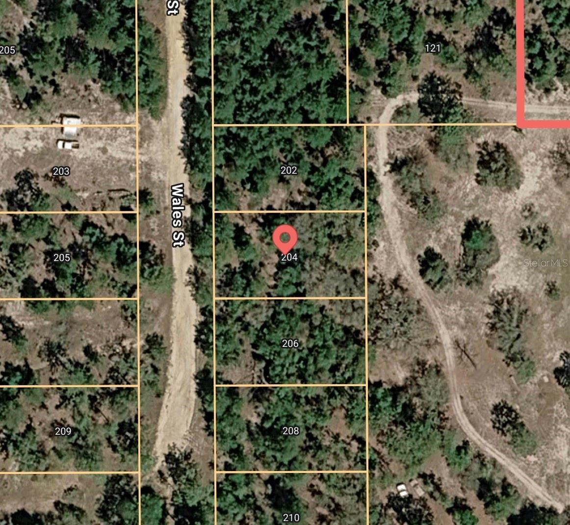 Photo 3 of 204 Wales St, Interlachen, FL 32148