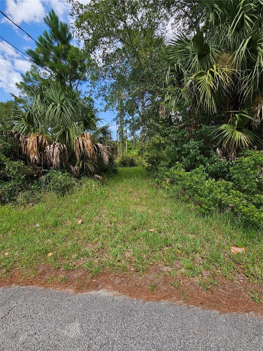 1715 Tatum Blvd, New Smyrna Beach, FL 32168