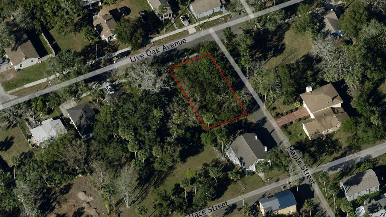 547 Live Oak Ave, Daytona Beach, FL 32114