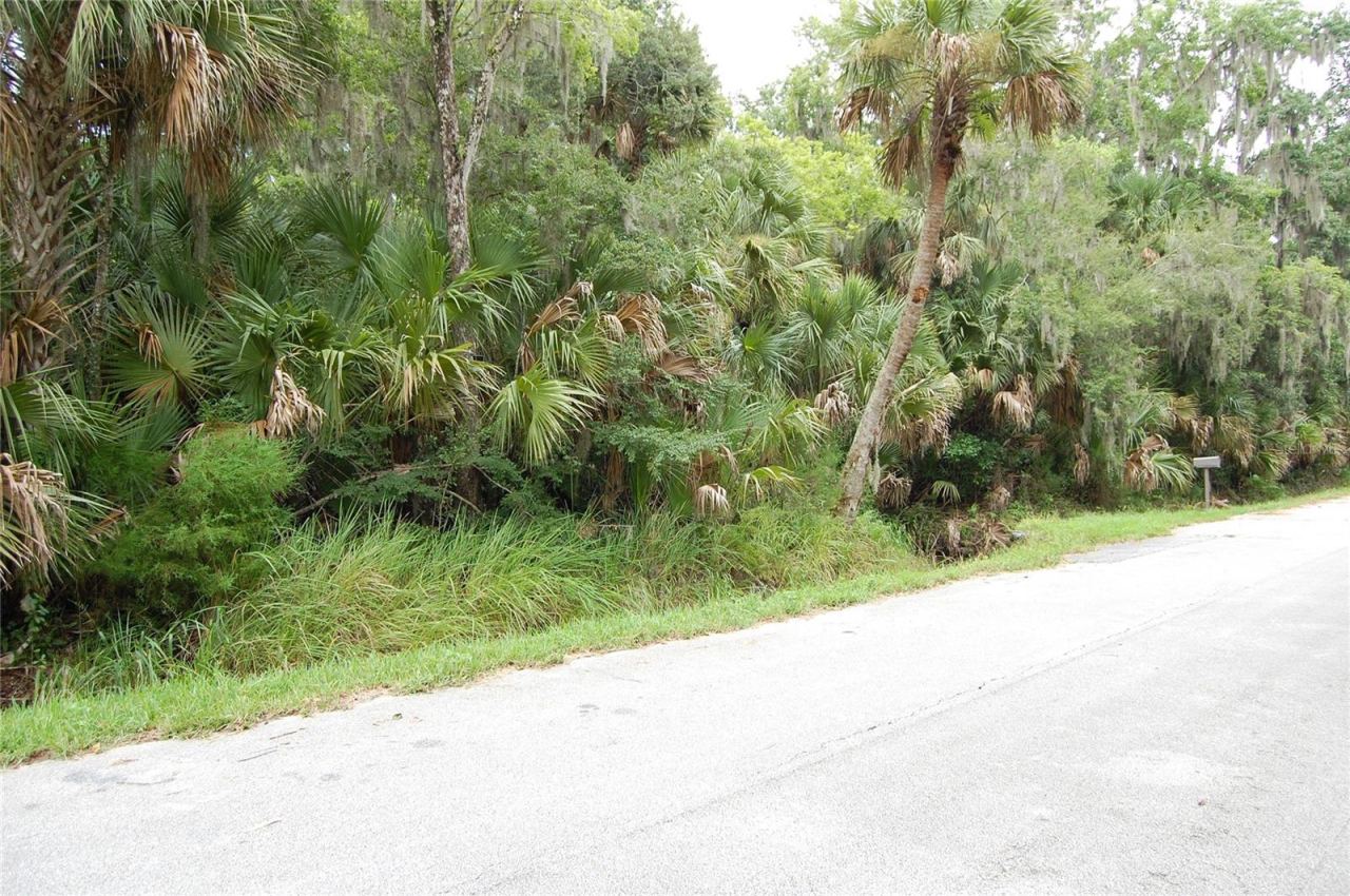 Palm Dr, New Smyrna Beach, FL 32168
