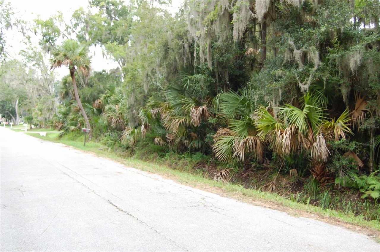 Photo 2 of Palm Dr, New Smyrna Beach, FL 32168