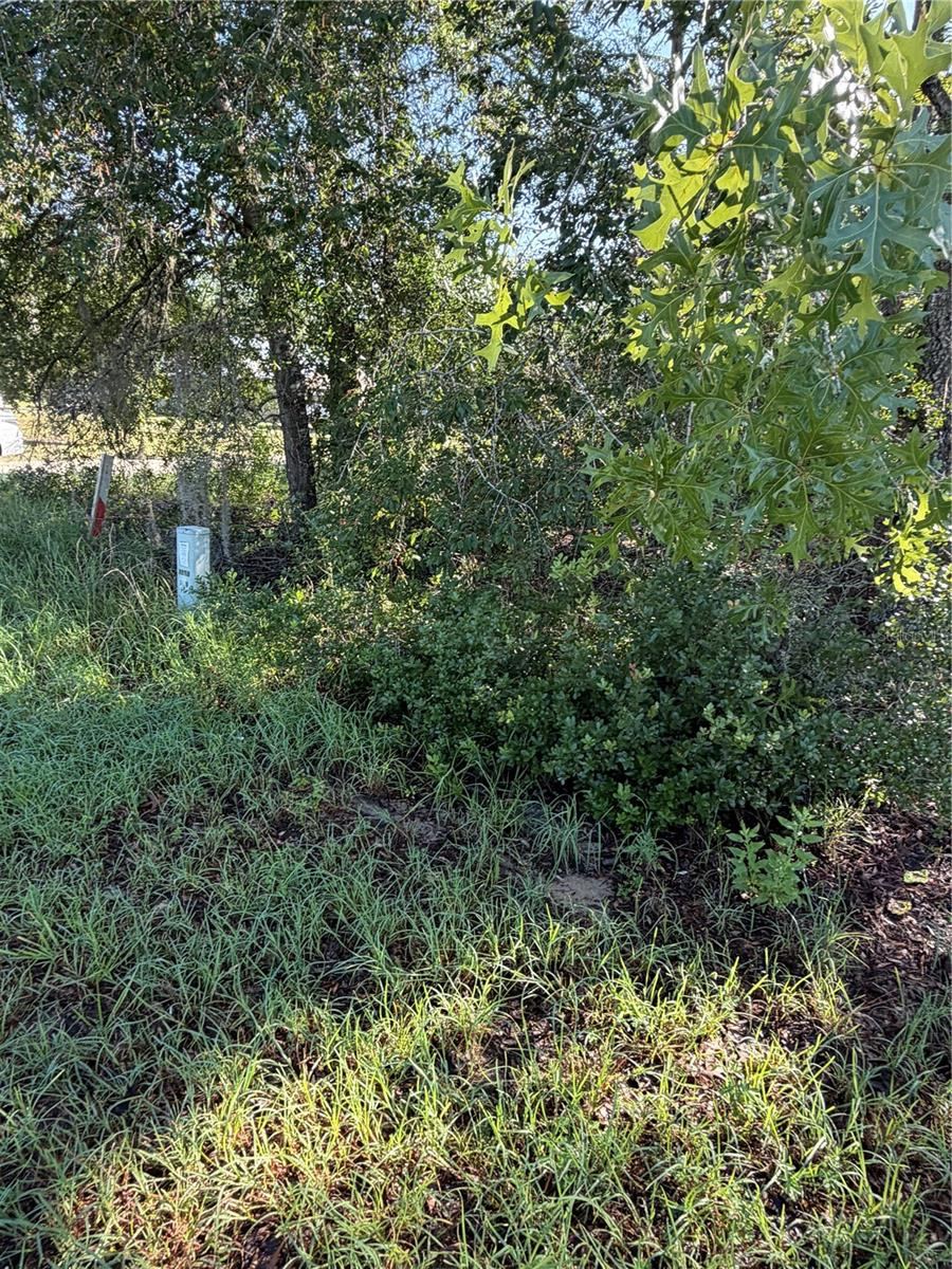 Photo 3 of Alaska Ave, Interlachen, FL 32148