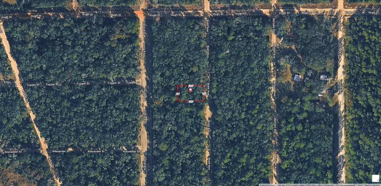 Brett, Interlachen, FL 32148