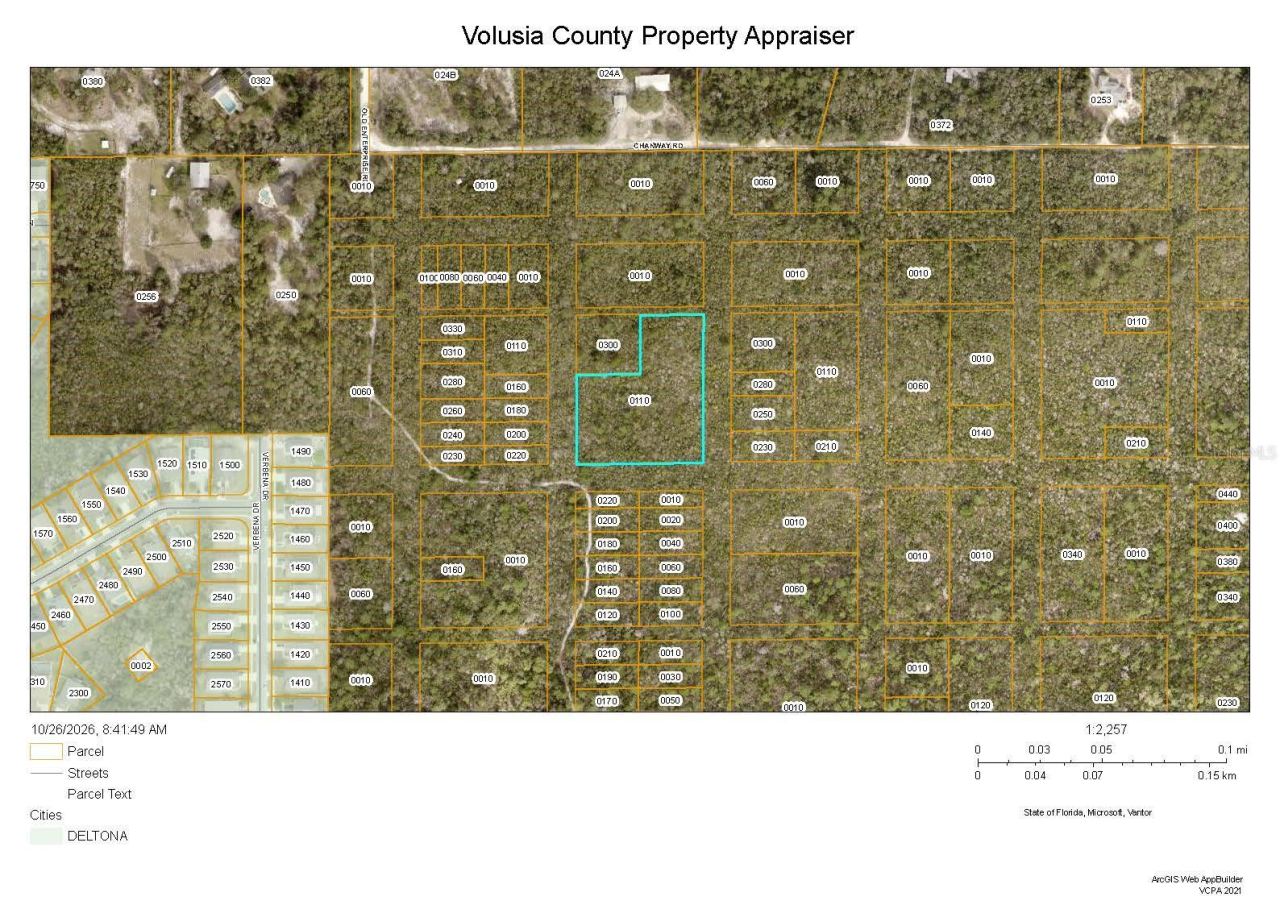 Joyce (paper) St, Lake Helen, FL 32744