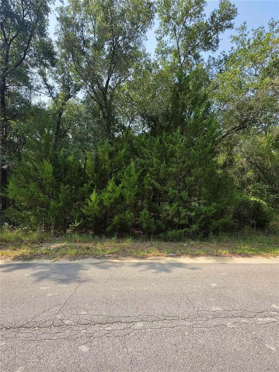 Photo 2 of Duval Ave, Interlachen, FL 32148