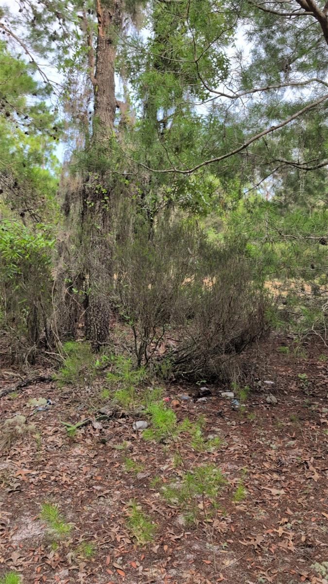 Photo 3 of 102 B St, Interlachen, FL 32148