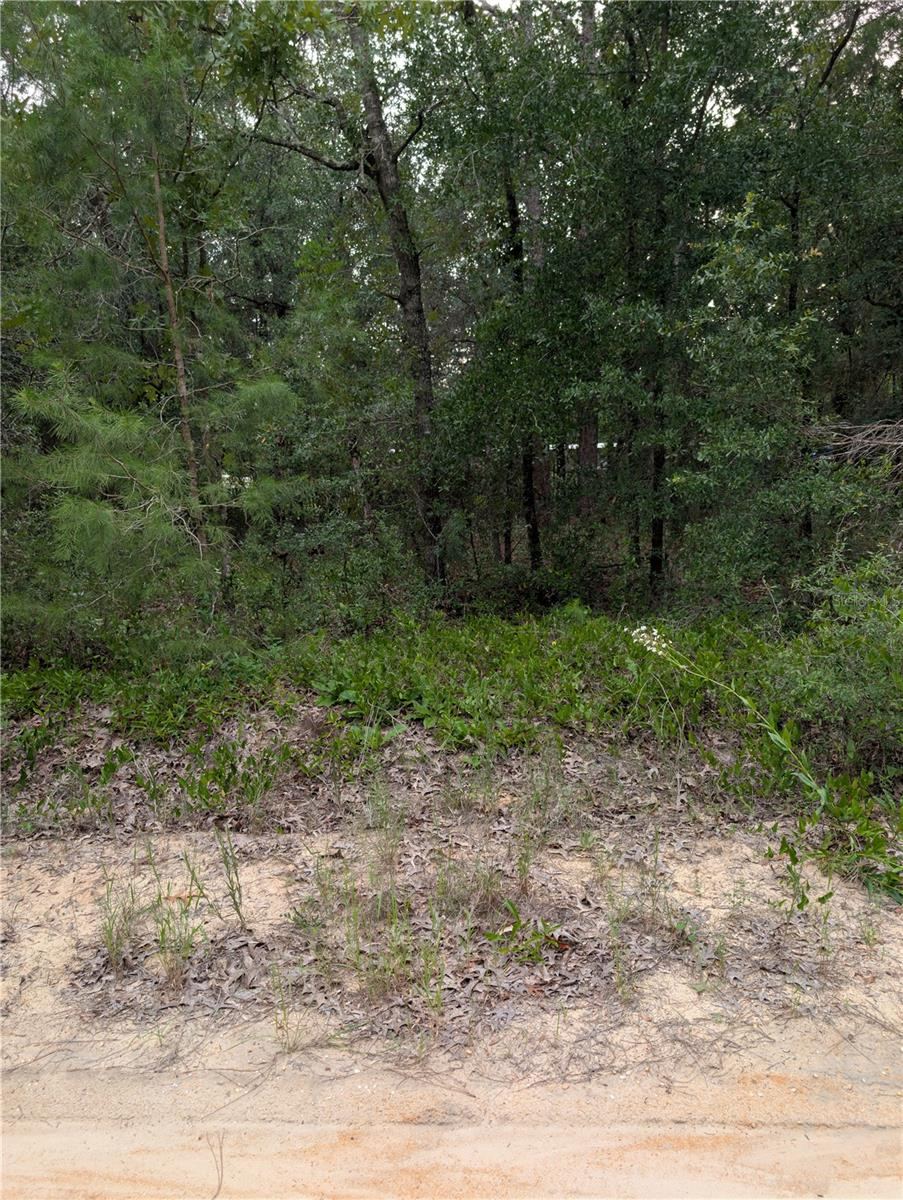 Photo 2 of Pineway Dr, Interlachen, FL 32148