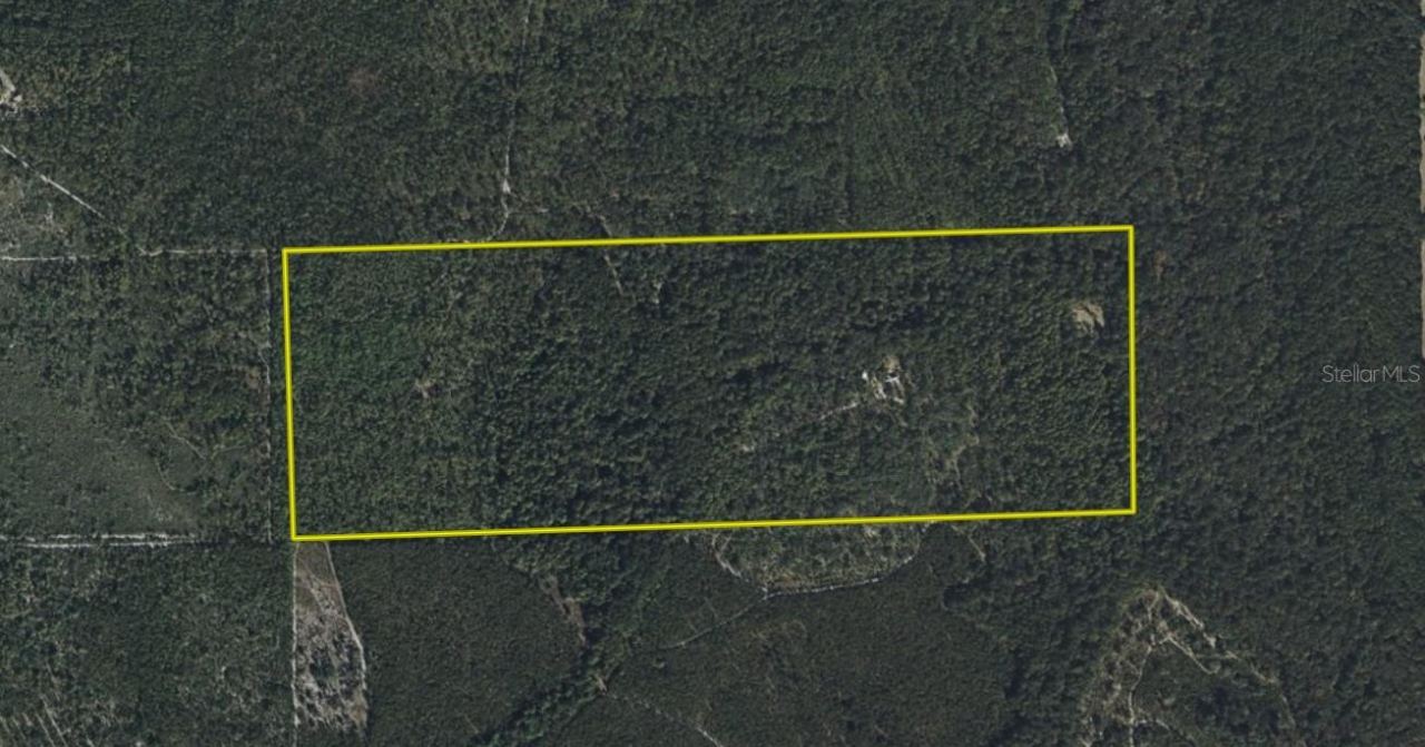 Photo 5 of 375 Buck Springs Rd, Palatka, FL 32177