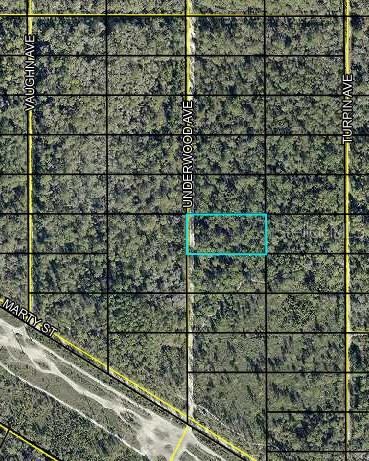 Photo 2 of Underwood, Hastings, FL 32145