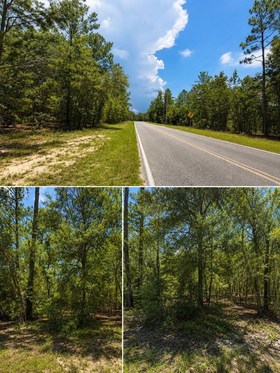 507 & 509 Baden Powell Rd, Hawthorne, FL 32640