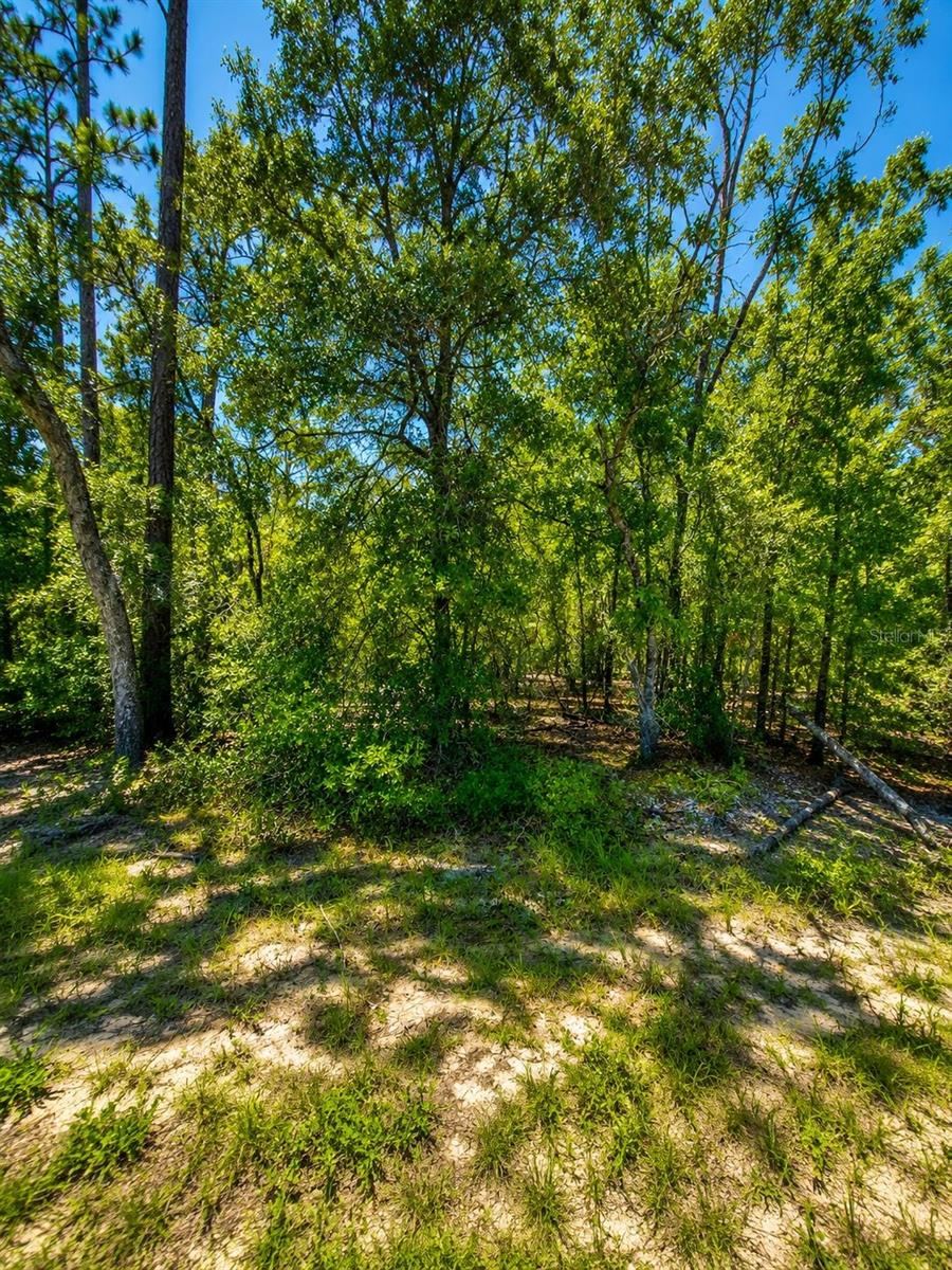 Photo 2 of 507 & 509 Baden Powell Rd, Hawthorne, FL 32640