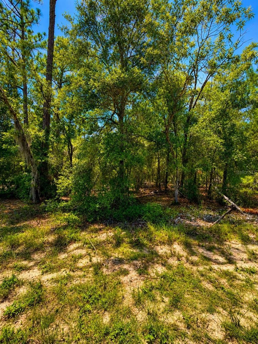 Photo 3 of 507 & 509 Baden Powell Rd, Hawthorne, FL 32640