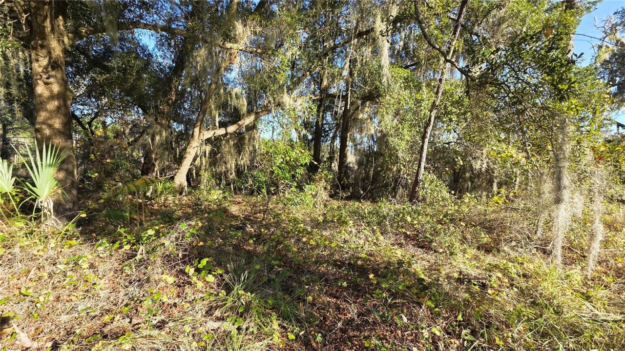 Photo 2 of 3009 Parma Dr, Deltona, FL 32738