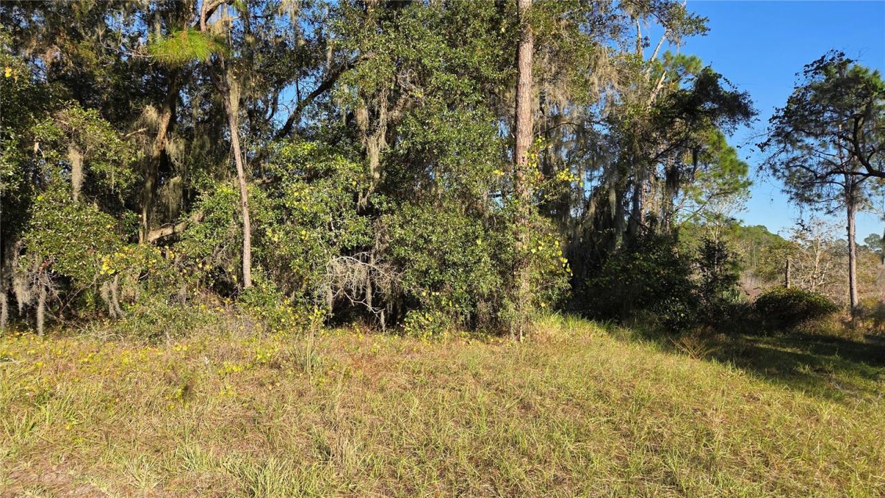 Photo 3 of 3009 Parma Dr, Deltona, FL 32738