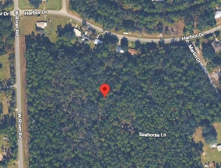 105 Dolphin Ln, Palatka