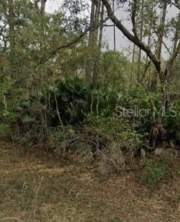 , Interlachen, FL 32148