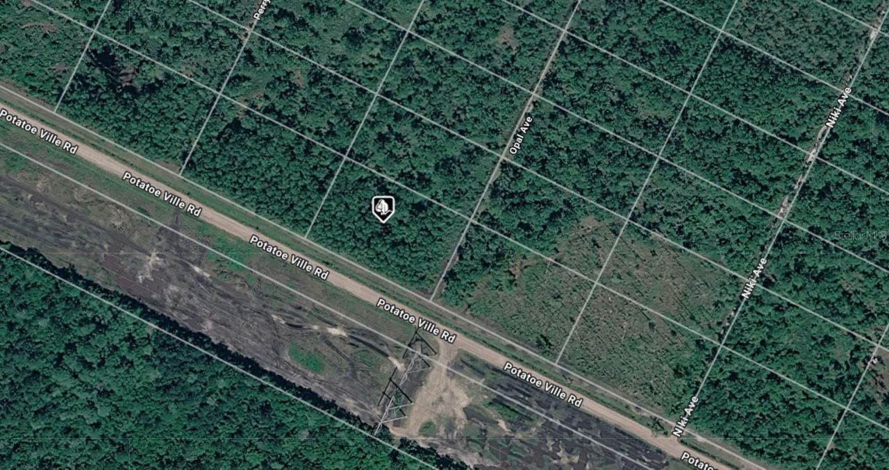 21-10-28-2775-00050-0602 Potatoville Rd, Hastings, FL 32145