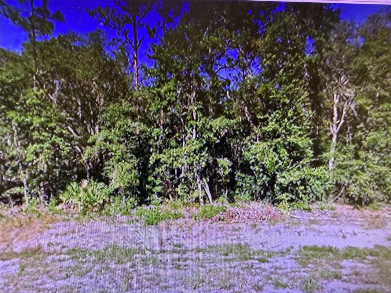 0 Chipo St, Interlachen, FL 32148